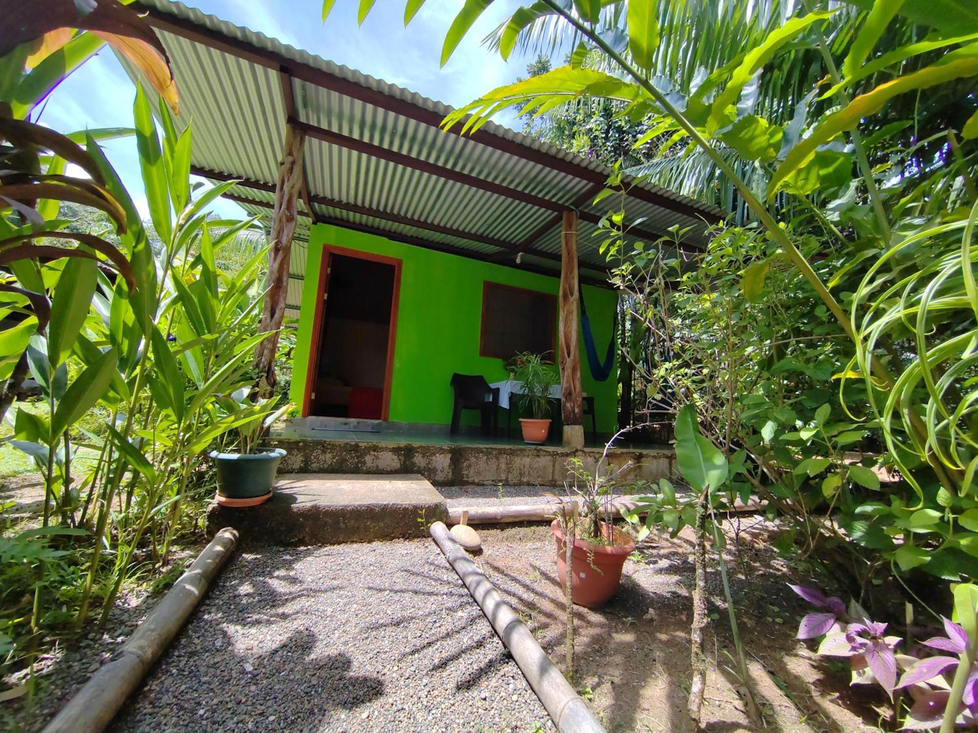 Garden Of Heliconias Lodge Drake Bay Luaran gambar