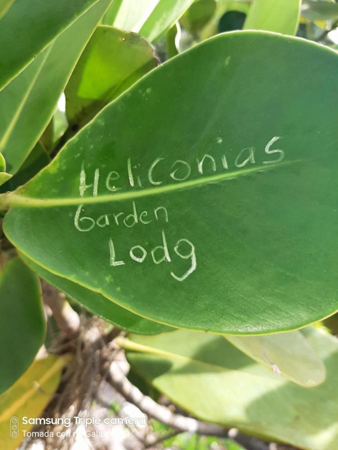 Garden Of Heliconias Lodge Drake Bay Luaran gambar